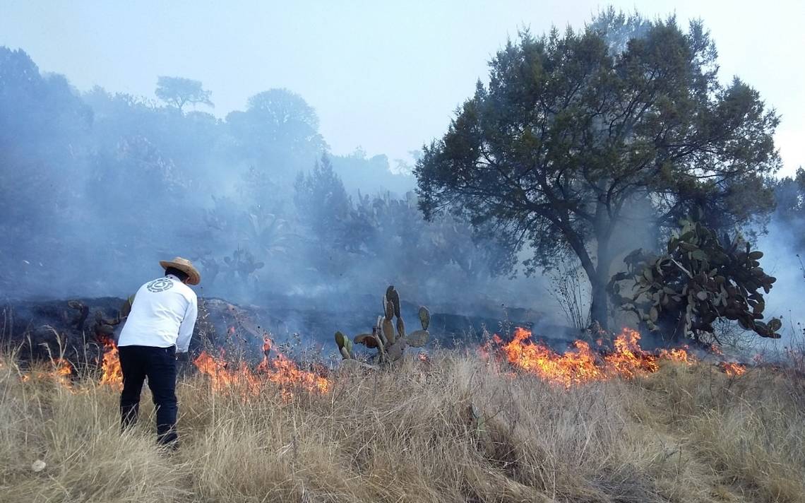 Pirotecnia Y Quema Agrícola Consumen Pastizales En Tlanalapa El Sol